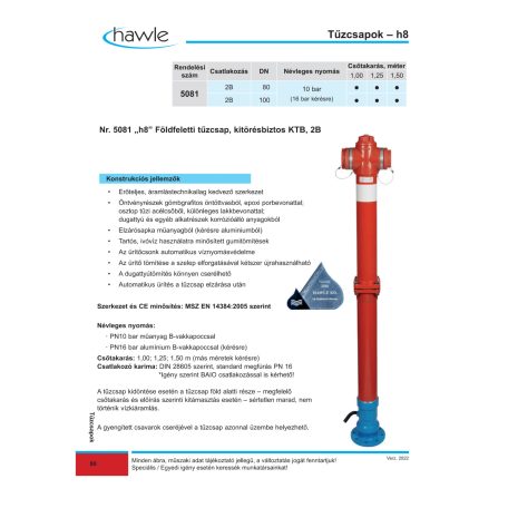 Hawle 5081-1854-10-LT Földfeletti tűzcsap KTB 2B h8 - LT DN100 L1000 PN10